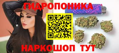 тгк Владимир