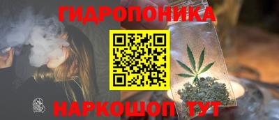 амф Владикавказ
