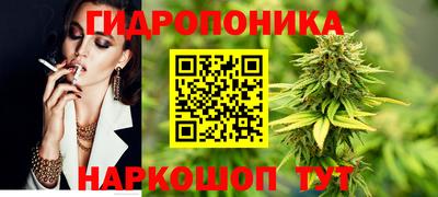тгк Владимир