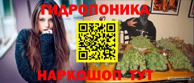 тгк Владимир