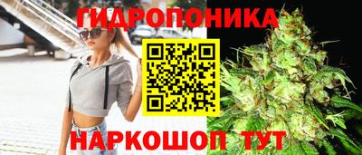тгк Владимир