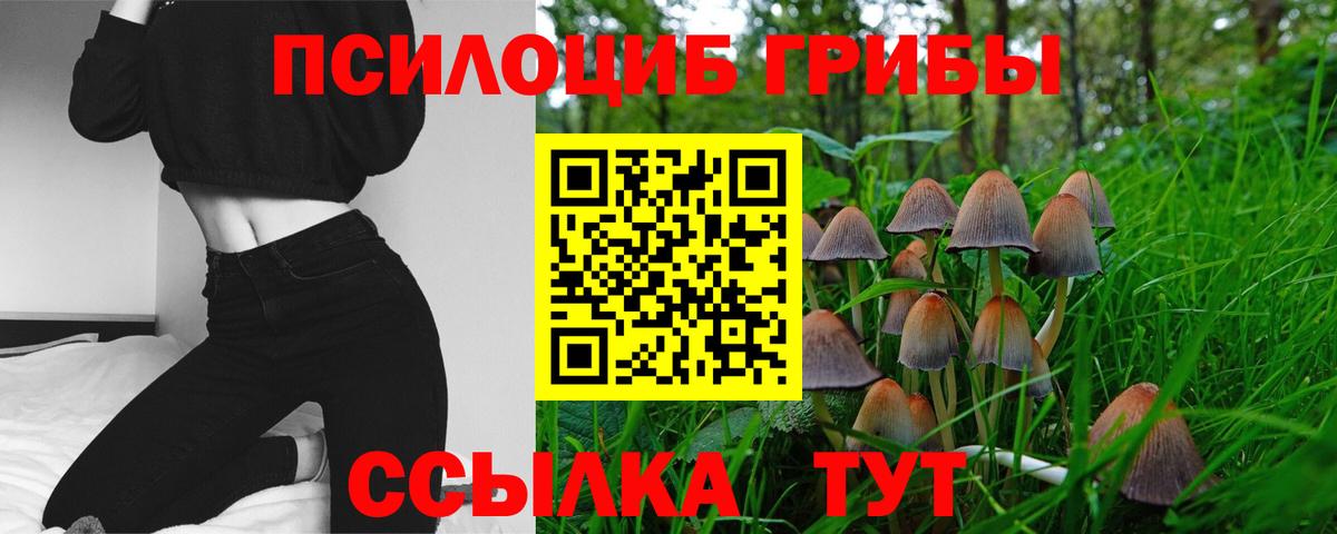 Астрахань  Галлюциногенные грибы Magic Shrooms  Псилоцибиновые грибы мицелий  Вход с VPN 