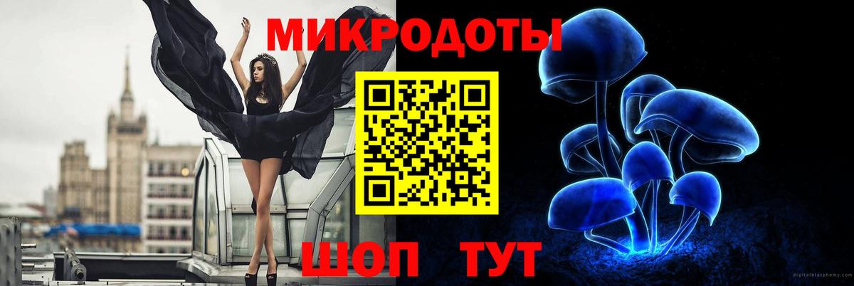 Галлюциногенные грибы мицелий Астрахань
